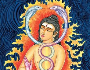 Blocked Kundalini Chakra Symptoms: The Kundalini Snake